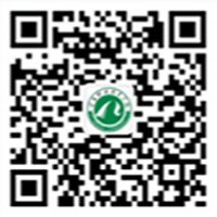 以“互联网+”为特征