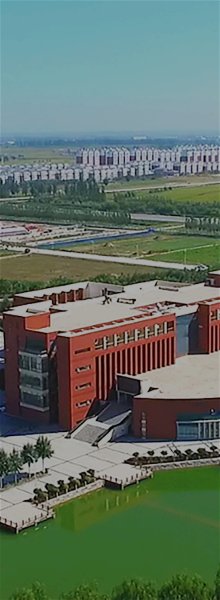 具有相对独立办学自主权的本科层次新型